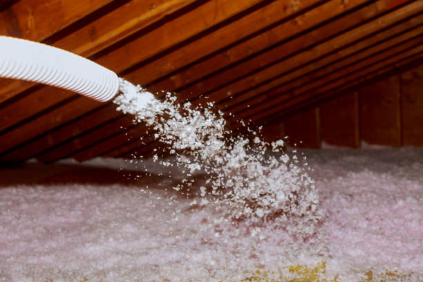 Best Insulation Maintenance and Repair in Salem, AR