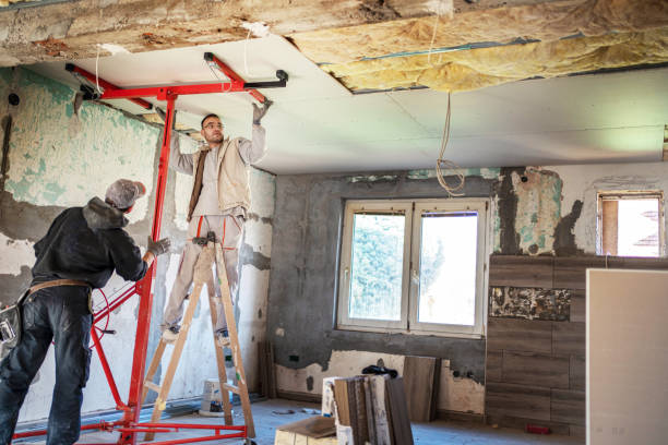 Best Specialized Insulation Services in Salem, AR