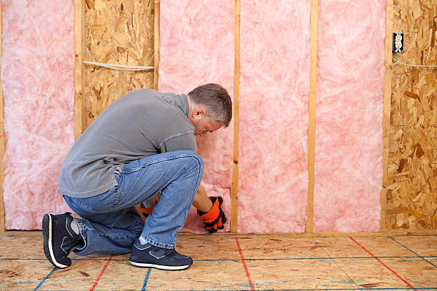 Professional Insulation Contractor in Salem, AR