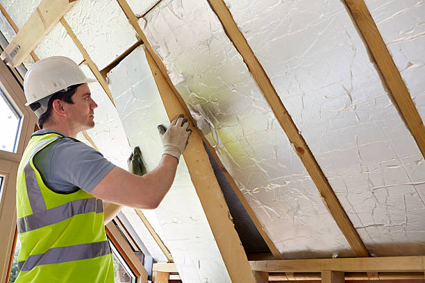 Best Insulation Maintenance and Repair in Salem, AR