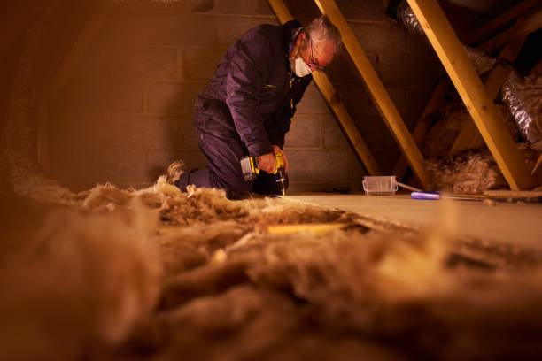 Best Commercial Insulation in Salem, AR